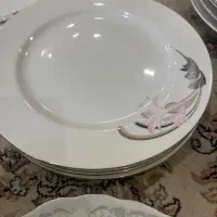 تعدادی بشقاب چینی سالم
