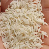 برنج سالم درجه یک هاشمی ۱۴۰۴