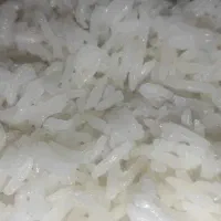 برنج گلستان|خوردنی و آشامیدنی|اهواز, زیتون کارمندی|دیوار
