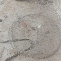 دو عدد گرگور ماهیگیری