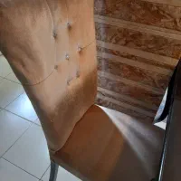 میز ناهار خوری ۸ نفره|میز و صندلی غذاخوری|تهران, زیبادشت|دیوار