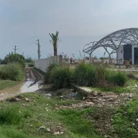 باغ-به-متراژ-1200-متر-با-سند-شش-دانگ