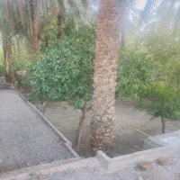 خانه باغ همکف