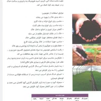 خاک بلک پیت|گل و گیاه طبیعی|کرمانشاه, |دیوار