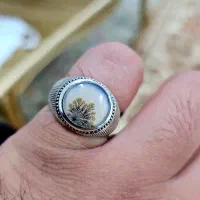 انگشتر فوق کلکسیونی شجر قائن|جواهرات|تهران, آرژانتین|دیوار