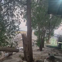 استخدام فروشنده اهرم