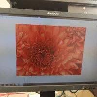 مانیتور و کیس