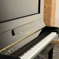 پیانو دیجیتال یاماها P225 طرح آکوستیک + سفارش ژاپن|پیانو، کیبورد، آکاردئون|تهران, سیمای ایران|دیوار