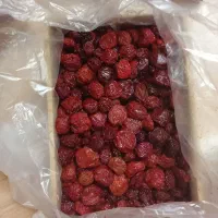 فروش انواع الو