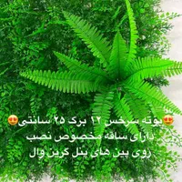 بوته تزئینی سرخس گرینوال|گل مصنوعی|تهران, نصرت|دیوار