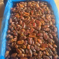 استخدام کارگر خانم