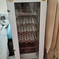 دستگاه جوجه کشی تمام اتومات
