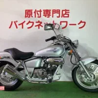 موتور هوندا مگنا کلسیونی ۲۰۰۳