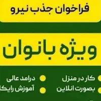 کاردرمنزل بانوان