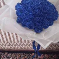گل رز روبانی
