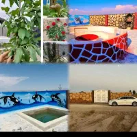 فروش ویژه قطعه باغچه 527 متری سندار مجتمع ویلایی|فروش خانه و ویلا|مشهد, توس فردوسی|دیوار