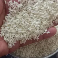 برنج عنبربو شوشتر|خوردنی و آشامیدنی|شوشتر, |دیوار
