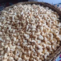 خبر خبر بادوم هندی درجه یک چاق گوشتی، مویز ،فندق|خوردنی و آشامیدنی|اراک, |دیوار