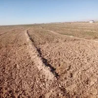 زمین باغ کلاکوب 1000 متری و500|فروش زمین و ملک کلنگی|مشهد, کلاکوب|دیوار