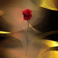 وسایل شخصی گل