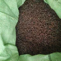 کشمش آبگیری