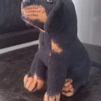 عروسک های پولیشی