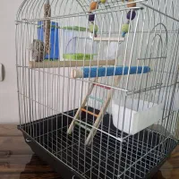 قفس و کیف حمل پرنده