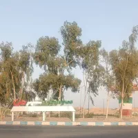 سایناs