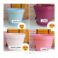 گلدان پلاستیکی فشرده رویال رنگ‌بندی و سایزبندی|گل و گیاه طبیعی|تهران, شهرک رضویه|دیوار