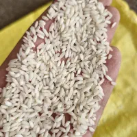 برنج خوزستان