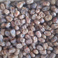 فروش خرمای برحی درجه یک با قیمت مناسب|خوردنی و آشامیدنی|تهران, ائمه اطهار|دیوار