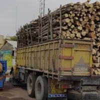 خرید چوب باغی به صورت عمده و خرده