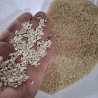 برنج کامفیروزی درجه یک|خوردنی و آشامیدنی|یزد, |دیوار