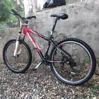 دوچرخه حرفه ای کوهستان برند اوور لورد