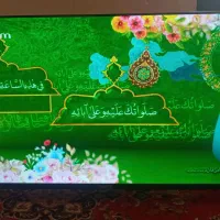 تلویزیون NEXT TV 43