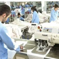 نیازمند تعداد کارگر برای تولیدی