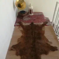 پوست طبیعی بز