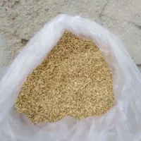 گندم|خوردنی و آشامیدنی|زرنه, |دیوار