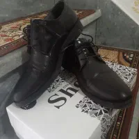 کفش مجلسی نو