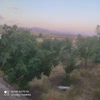 1000 متر زمین چسبیده به بافت روستای ییلاقی کوگیر