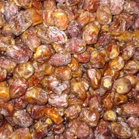 خرمای مرداسنگ|خوردنی و آشامیدنی|فاریاب, |دیوار