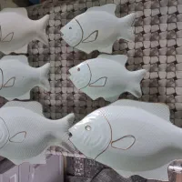 ظروف پذیرایی