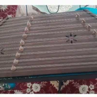 سنتور پوریا