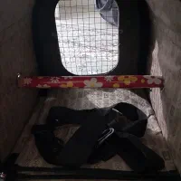 کیف حمل پرنده