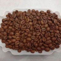 فروش دانه قهوه عمده و خرد مستقیم از رستری بخرید