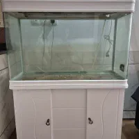 آکواریوم دلسا یک متری