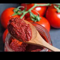 رب گوجه محلی|خوردنی و آشامیدنی|تهران, سبلان (لشگر)|دیوار