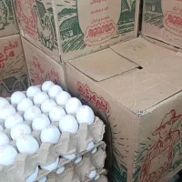 تخم مرغ عمده کارتنی
