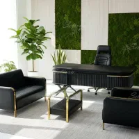 مبلمان اداری دانش وند