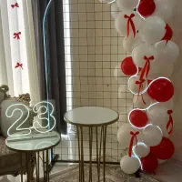 پکیج اقتصادی بادکنک آرایی ۴۹۰